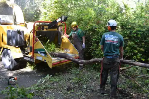 tree services Albertville